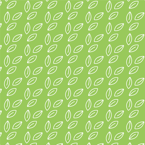 Crème Miel + Matcha