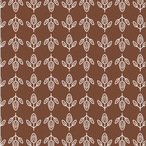 Crème Miel + Cacao