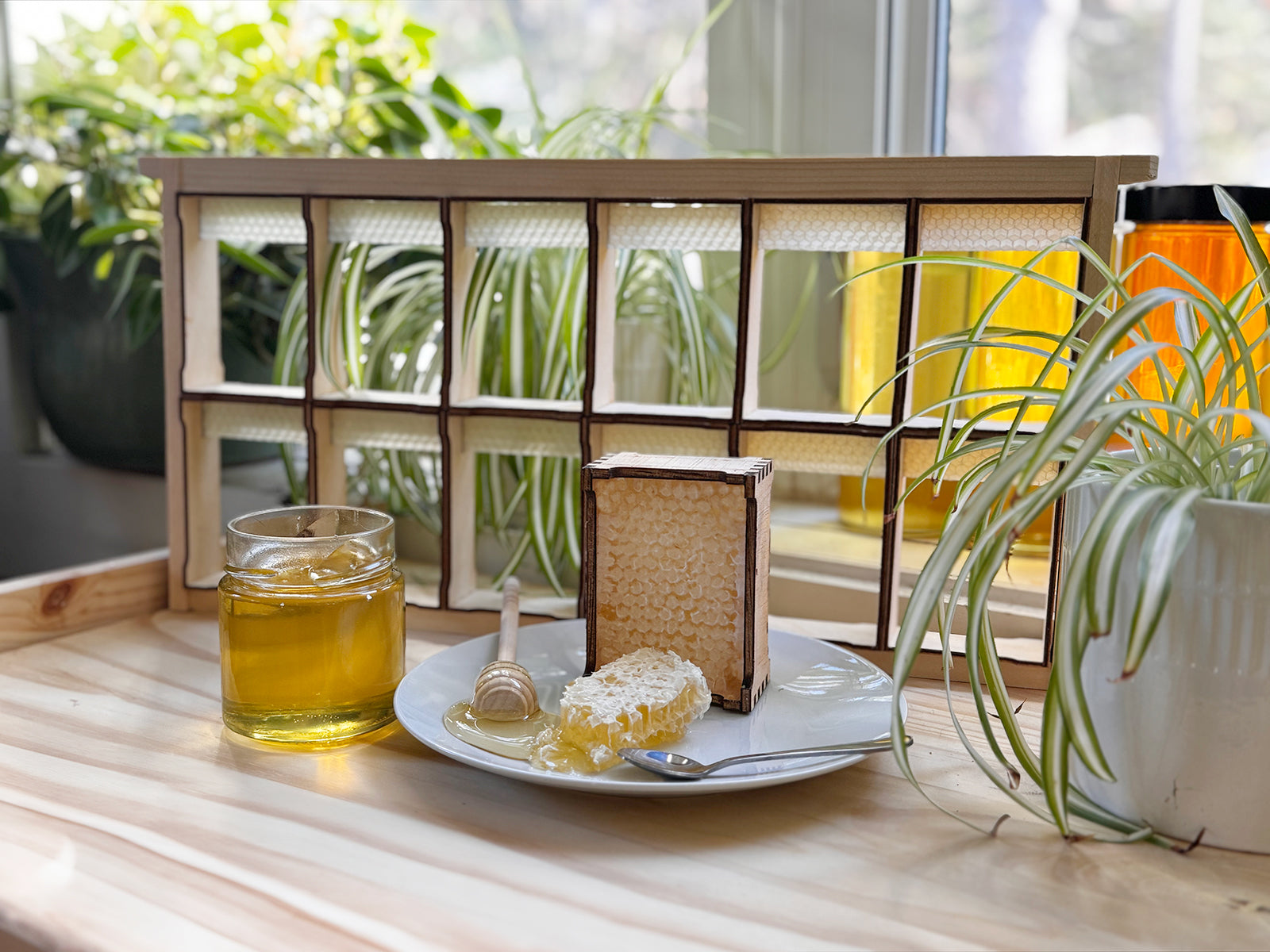 Cozy setting with fresh honeycomb and liquid honey on a plate with a plant and the sun shining through.
